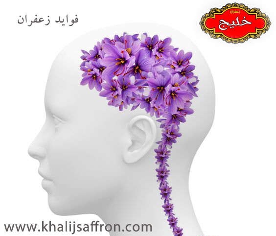 فوائد الزعفران العديدة لصحتك